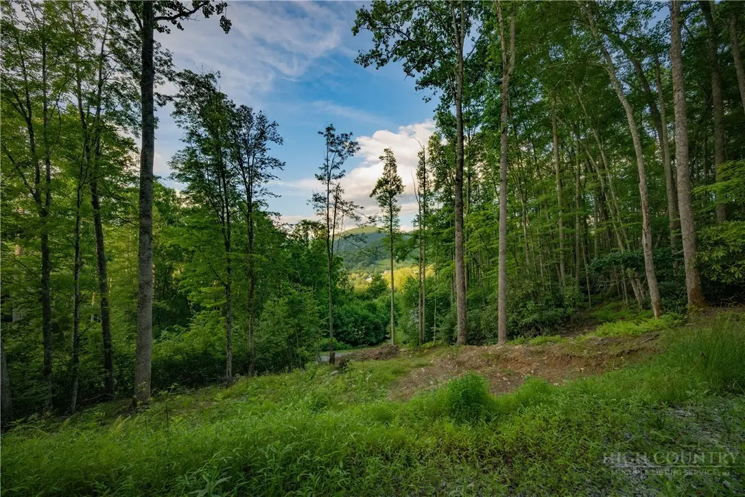 Lot 4 Elk Creek Drive, Banner Elk, NC 28604 - #1