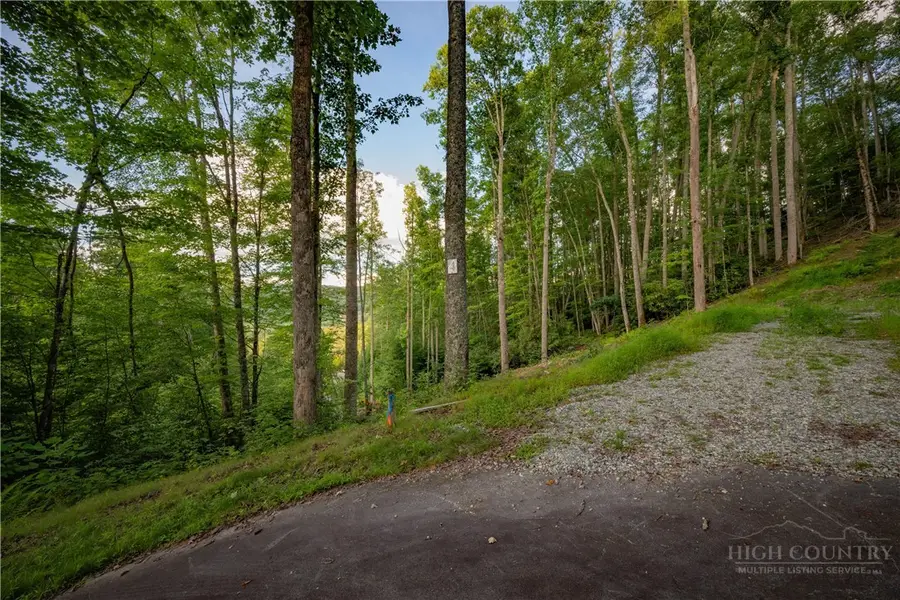 Lot 4 Elk Creek Drive, Banner Elk, NC 28604 - #3