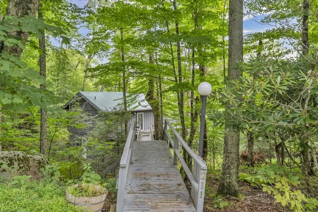 211 Foxgrape Hollow, Beech Mountain, NC 28605 - #1