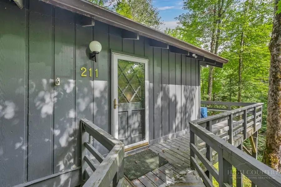211 Foxgrape Hollow, Beech Mountain, NC 28605 - #2