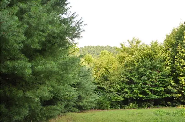 TBD Highland Laurel Lane, Deep Gap, NC 28618