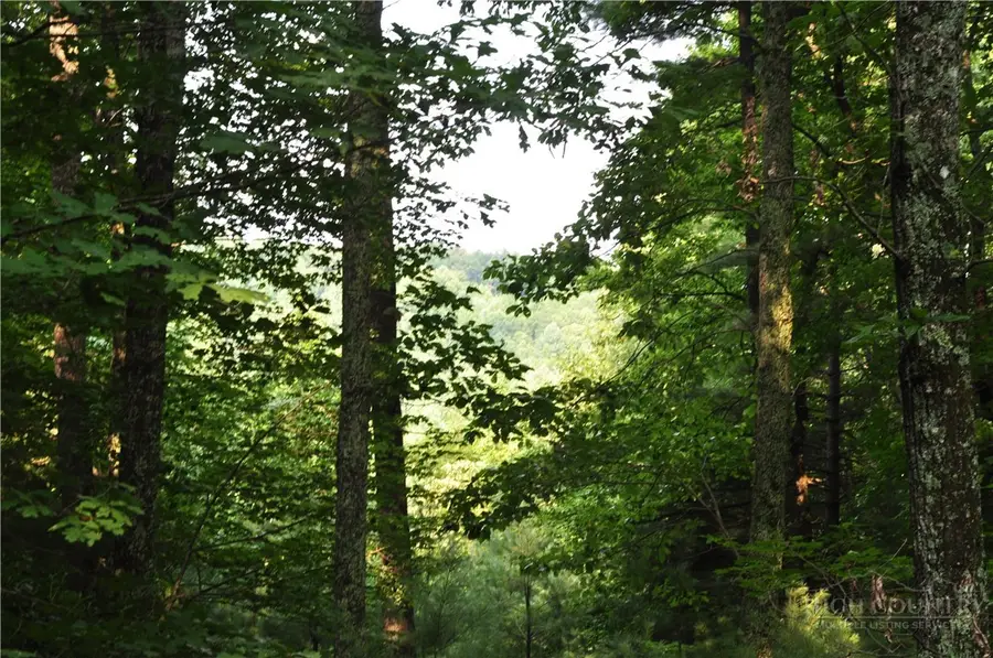 TBD Highland Laurel Lane, Deep Gap, NC 28618 - #3
