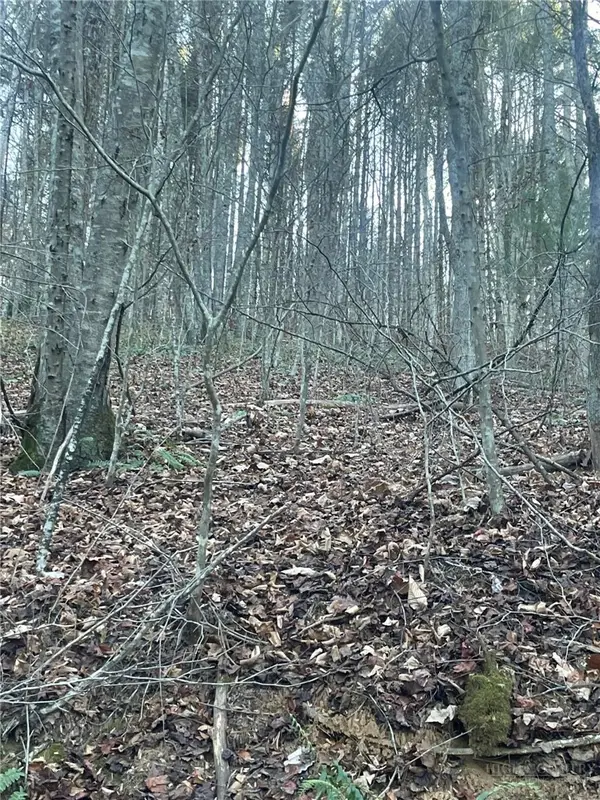 TBD Mountain Side Lane, Crumpler, NC 28617