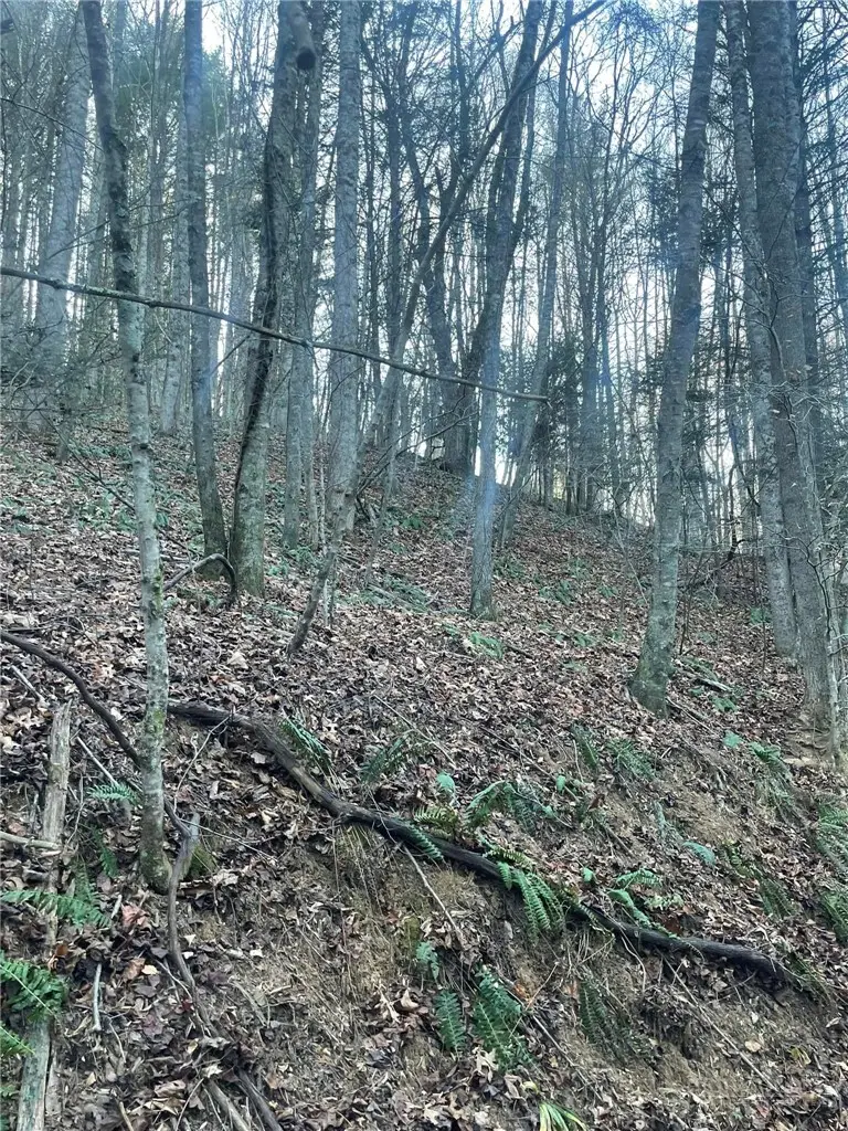 TBD Mountain Side Lane, Crumpler, NC 28617 - #2