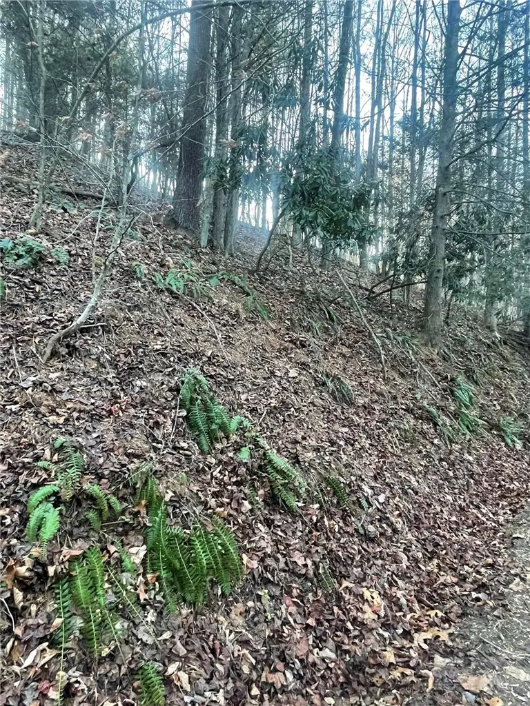 TBD Mountain Side Lane, Crumpler, NC 28617 - #3