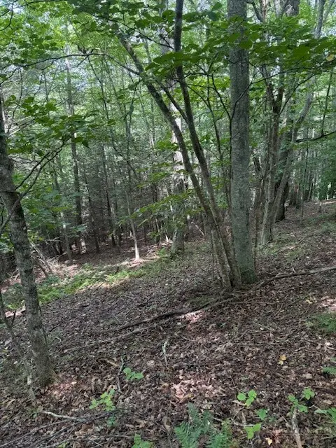 TBD Starlite Drive, Crumpler, NC 28617 - #2