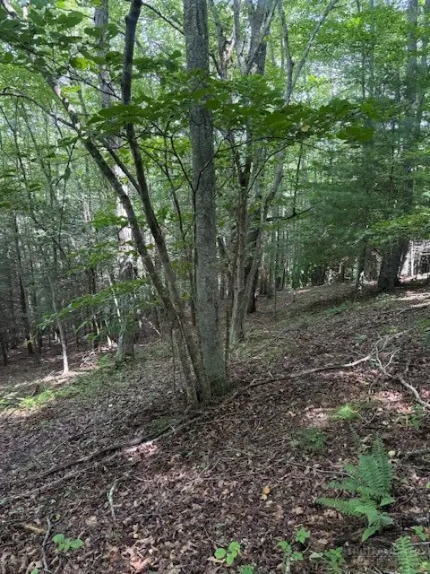 TBD Starlite Drive, Crumpler, NC 28617 - #3