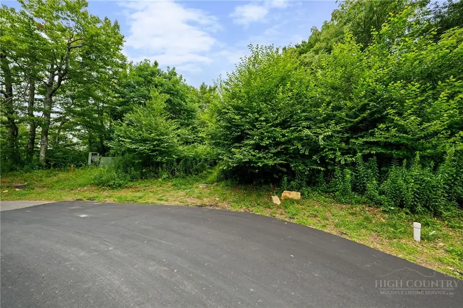 Lot 96 Cloud Spring Drive, Sugar Mountain, NC 28604 - #2