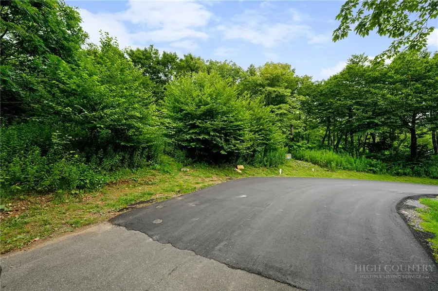 Lot 96 Cloud Spring Drive, Sugar Mountain, NC 28604 - #3