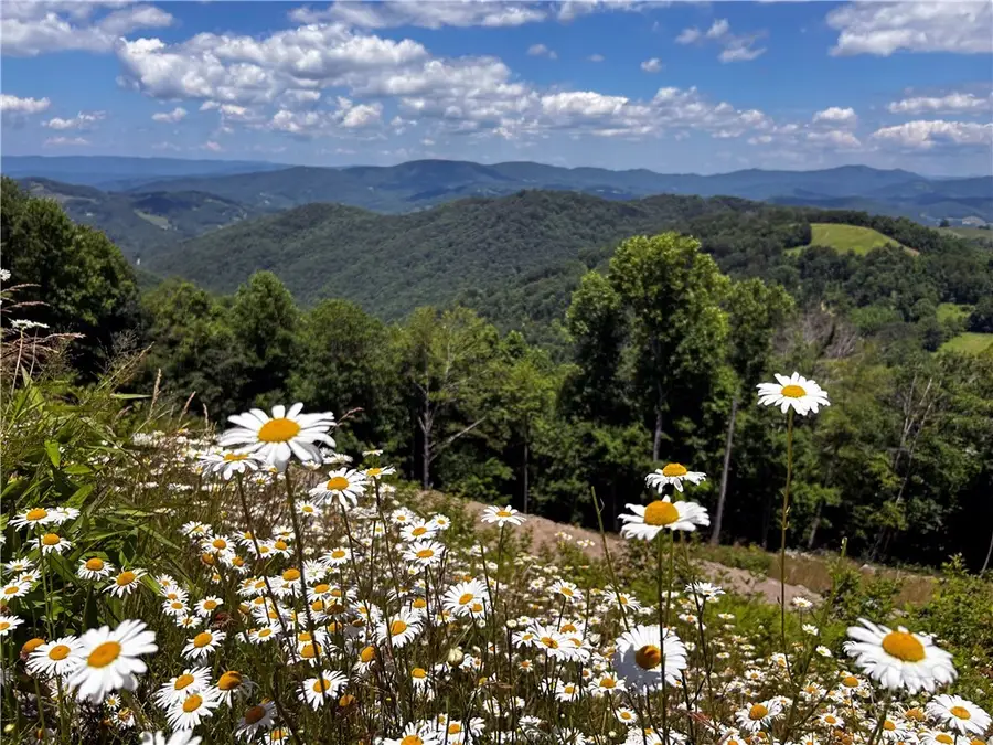 Lot 9 Pebble Creek Trail, Beech Mountain, NC 28604 - #2