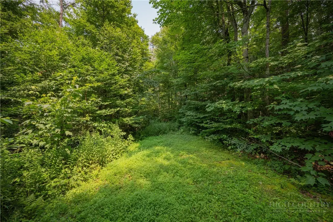 Lot 24 Linville River Drive, Linville, NC 28646 - #1