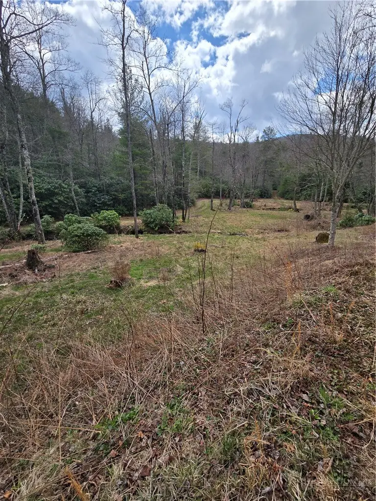 0 E Laurel Springs, Newland, NC 28657 - #1