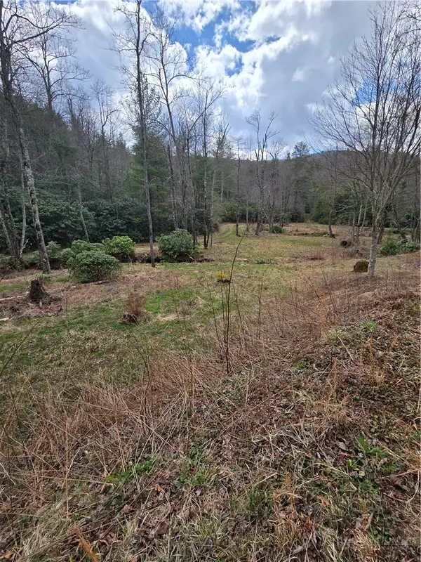 0 E Laurel Springs, Newland, NC 28657