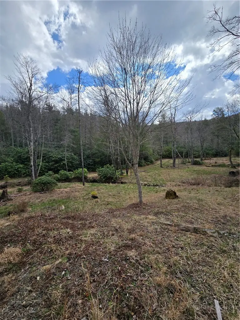 0 E Laurel Springs, Newland, NC 28657 - #2