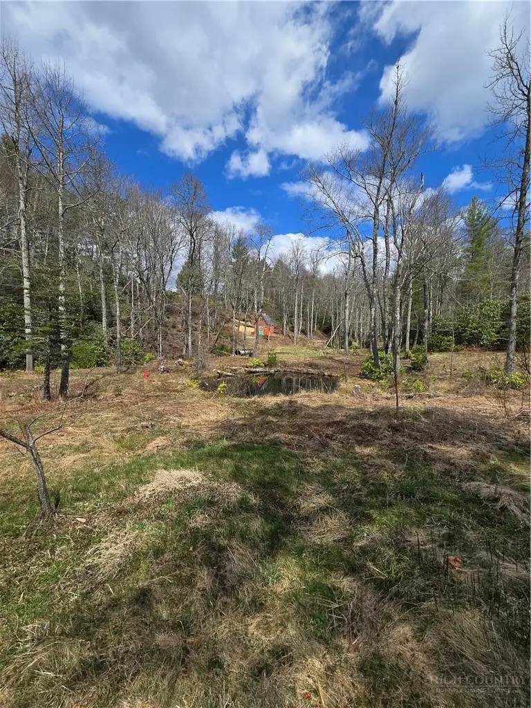 0 E Laurel Springs, Newland, NC 28657 - #3