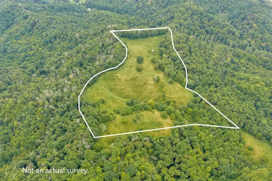 tbd Vaughn Potter Road, Zionville, NC 28698 - #3