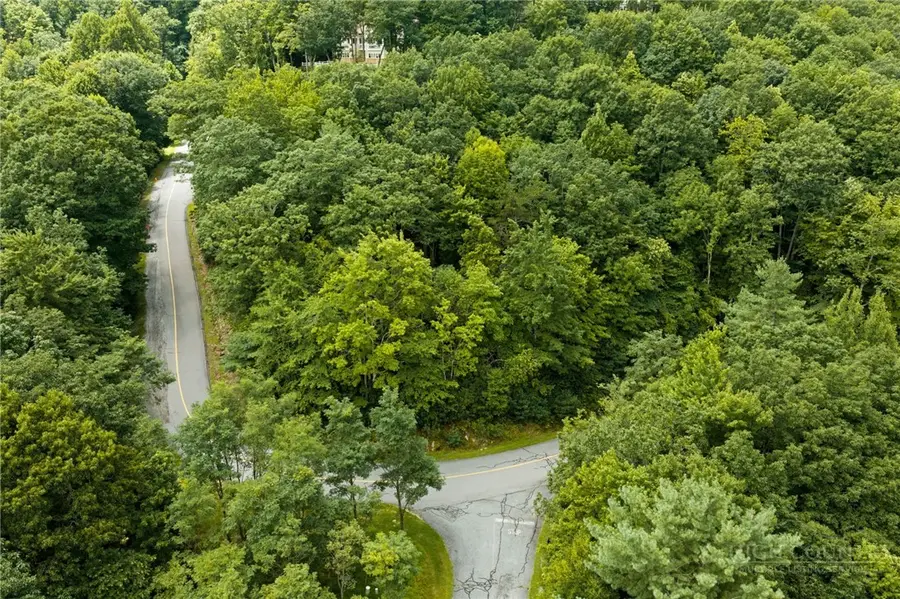 Lot 2 Heavenly Mountain Drive, Boone, NC 28607 - #3