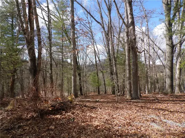 TBD Happy Woods Drive, Piney Creek, NC 28631