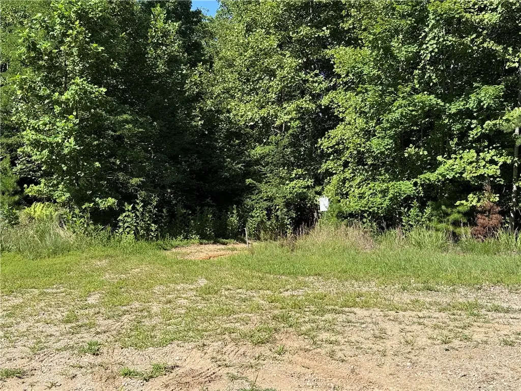 Lot 222 Casey Mountain Road, Purlear, NC 28665 - #1