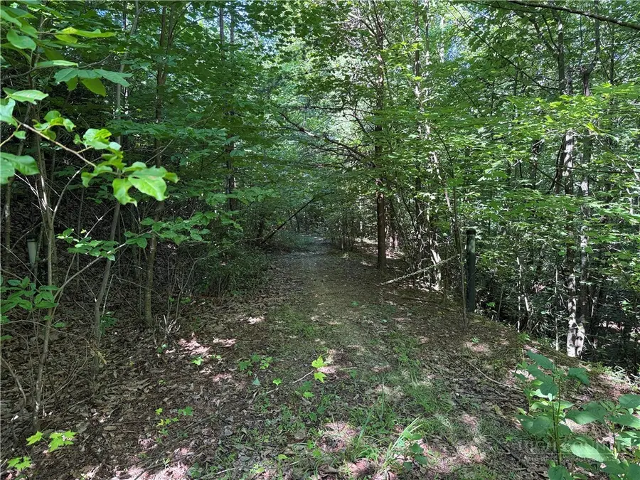 Lot 222 Casey Mountain Road, Purlear, NC 28665 - #2