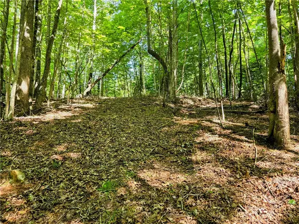 Lot 2B Brightwood Trail, Deep Gap, NC 28618