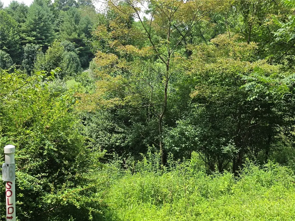 TBD lot 36 Georgina Way, Piney Creek, NC 28663 - #1