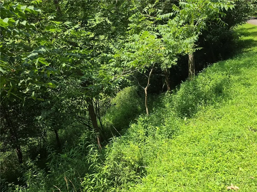 TBD lot 36 Georgina Way, Piney Creek, NC 28663 - #2