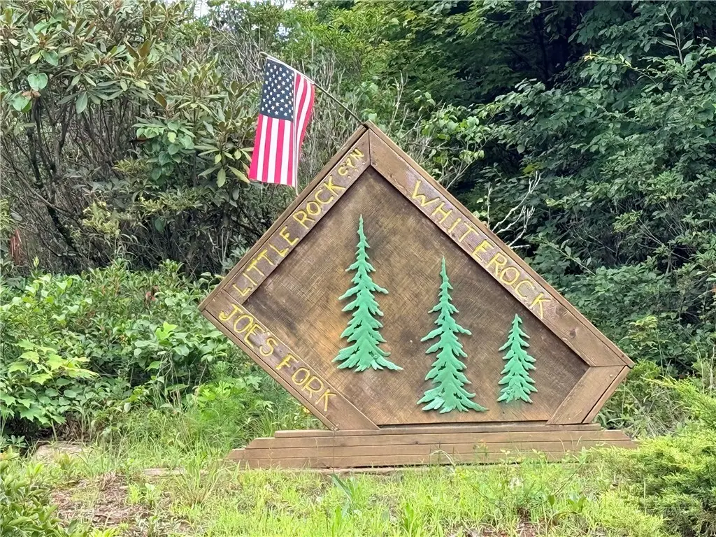 TBD Little Rock Canyon Road, Lenoir, NC 28645 - #1
