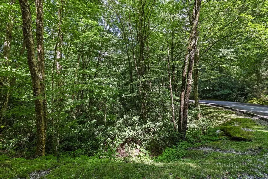 92A Wren Way, Banner Elk, NC 28604 - #3