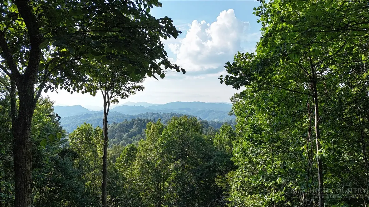 Lot 25 Deer Trail Lane, Elk Park, NC 28622 - #1