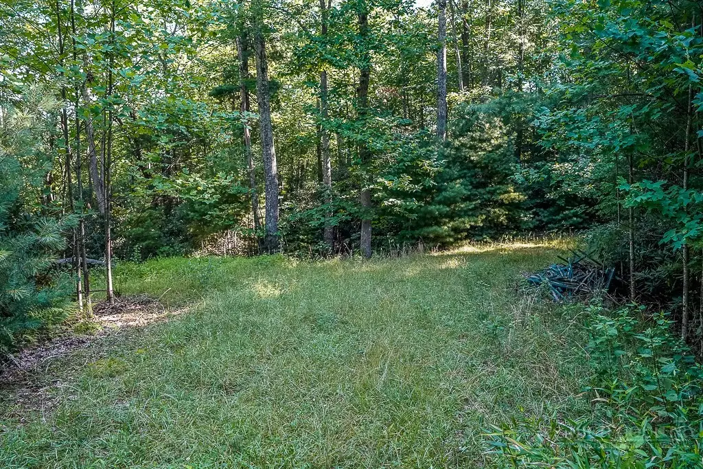 Lot 5 Dream Forest Path, Banner Elk, NC 28604 - #1