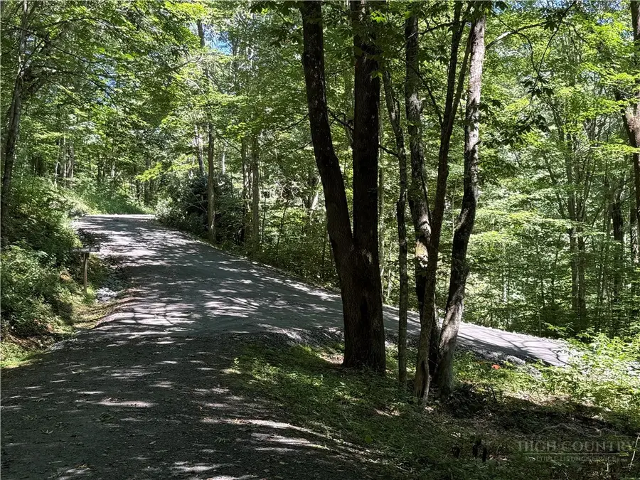 7 Wolfsbane Lane, Todd, NC 28684 - #2