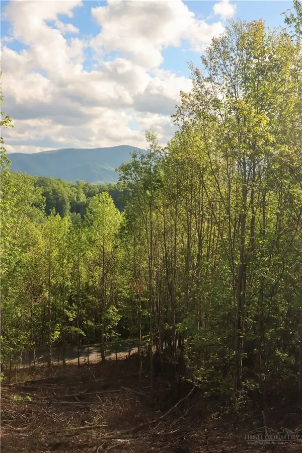 Lot 25 TBD Lake View Drive, Elk Park, NC 28622