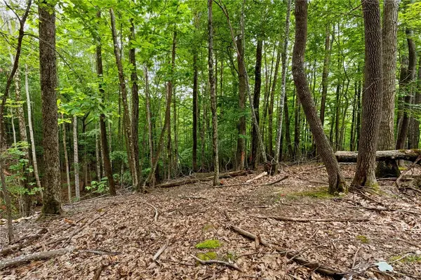 203 Sourwood Lane, Beech Mountain, NC 28604