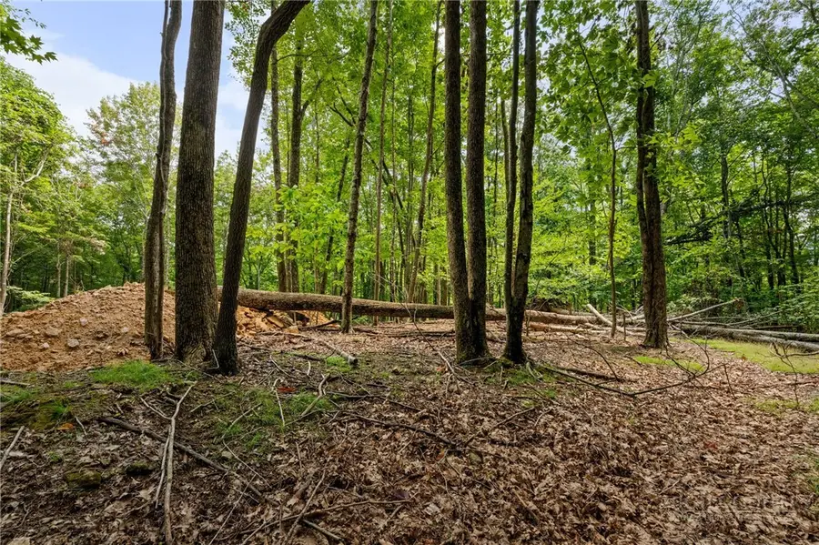 203 Sourwood Lane, Beech Mountain, NC 28604 - #2