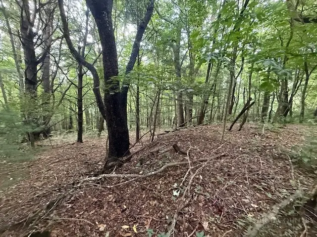 Lot 35/36 Walter Godbey Road, West Jefferson, NC 28694 - #1