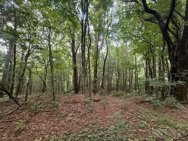 Lot 35/36 Walter Godbey Road, West Jefferson, NC 28694 - #3