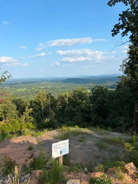 Lot # 9 Widow Mountain Drive, McGrady, NC 28649 - #2