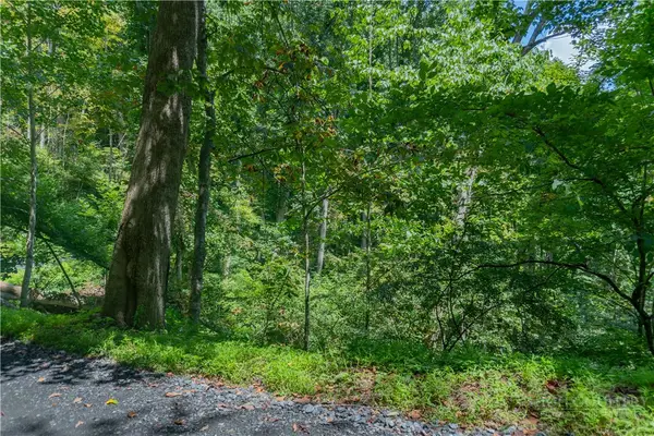 Lot 4 Stonegate Lane, Creston, NC 28615