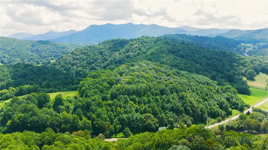 Lot 4 Stonegate Lane, Creston, NC 28615 - #2
