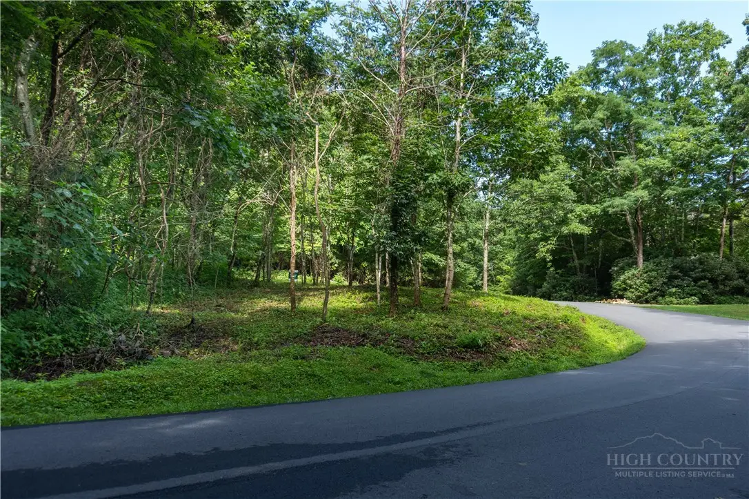 Lot 13 Hemlock Ridge Road, Blowing Rock, NC 28605 - #1