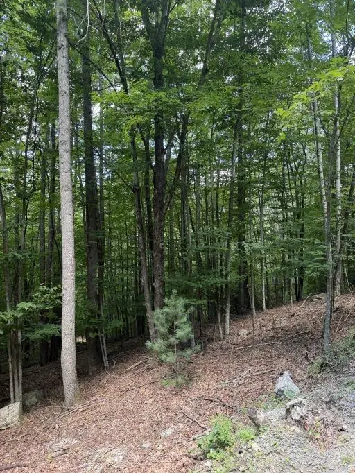 141 Sassafrass Road, Beech Mountain, NC 28604