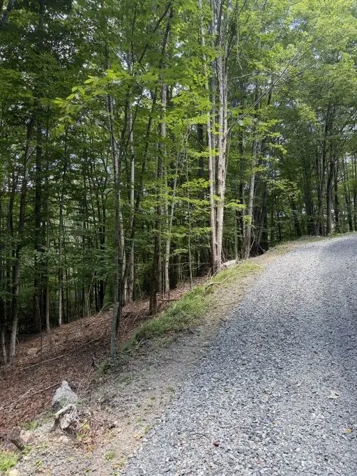 141 Sassafrass Road, Beech Mountain, NC 28604 - #2