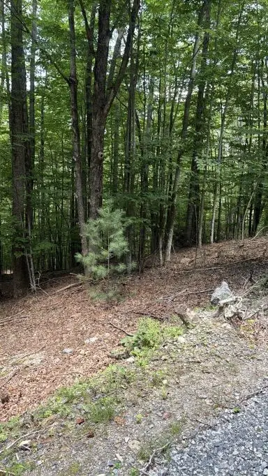 141 Sassafrass Road, Beech Mountain, NC 28604 - #3