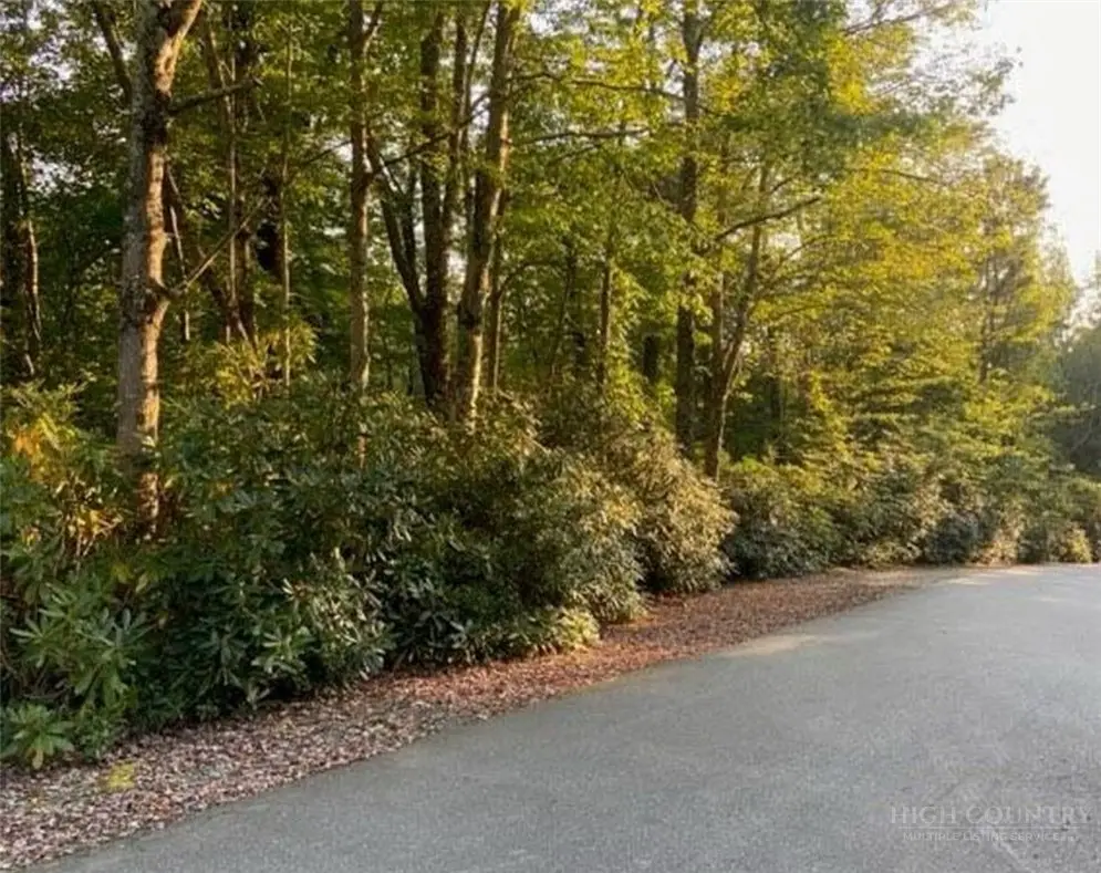 6285 Upper Creek Drive, Newland, NC 28657 - #1