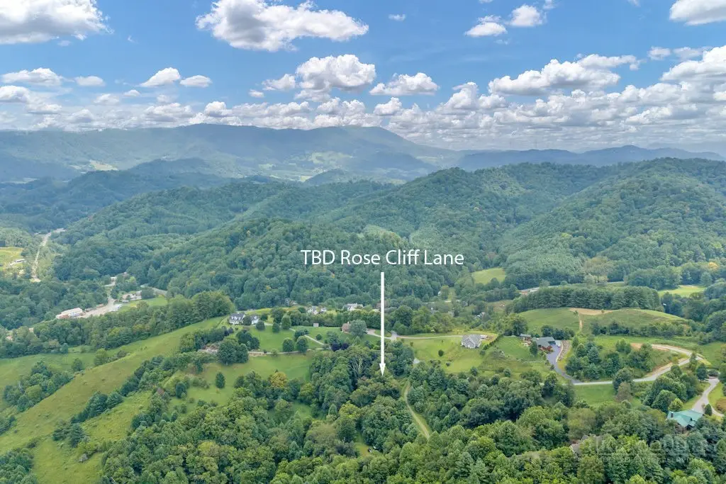 Lot 16 Rose Cliff Lane, Sugar Grove, NC 28679 - #1