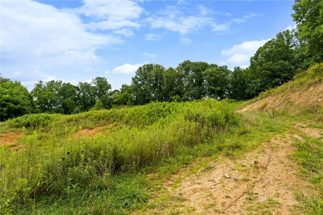 572 Laurel Branch Road, Vilas, NC 28692 - #1