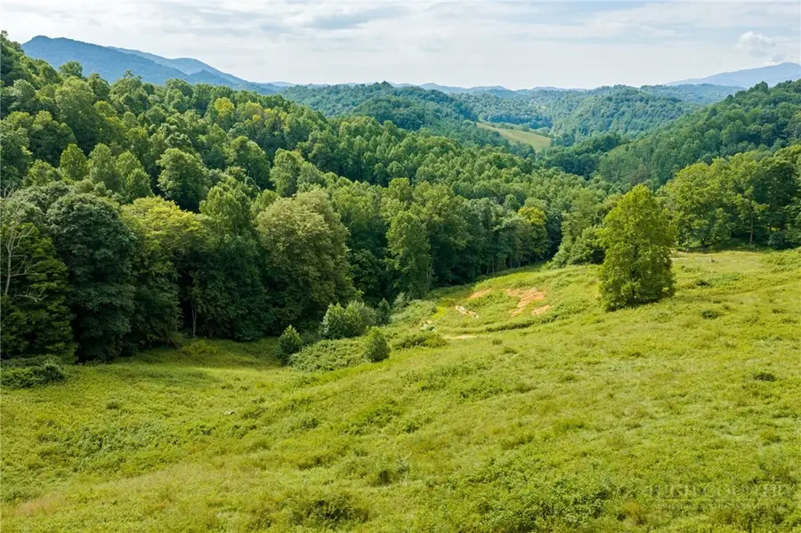 572 Laurel Branch Road, Vilas, NC 28692 - #2