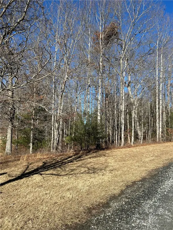 Lot 23 Bear Den Road, Sparta, NC 28675