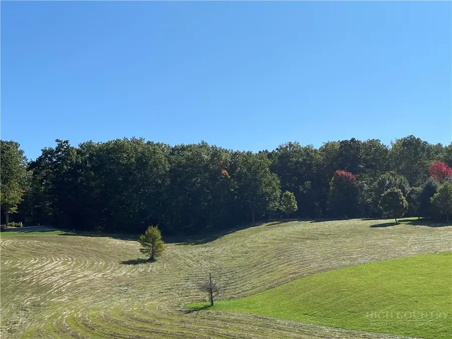 Lot 23 Bear Den Road, Sparta, NC 28675 - #2